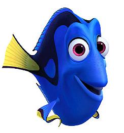 dory dory