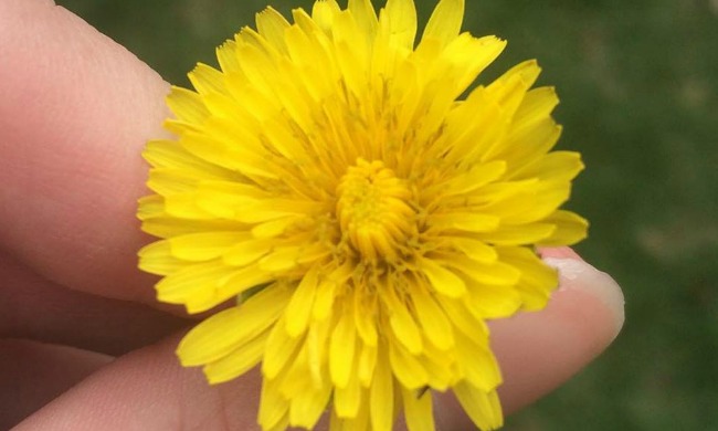 Writers: Pay Attention to the Little Things