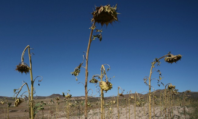 April Almost Killed My Writing Joy … but It&nbsp;Didn’t.