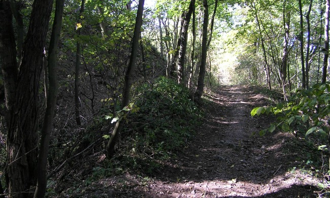 Pursuing a Career in Writing is Like Being Stranded in the Wilderness&nbsp;…